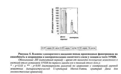 знаменитость знаменитость