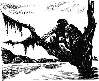 была полностью