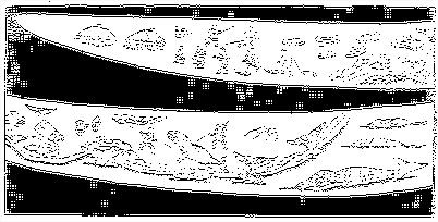 голубых китов