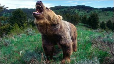 бездействие