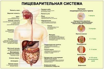 риск