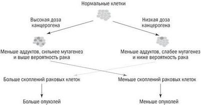 большой дозы большой дозы