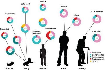 вредоносный