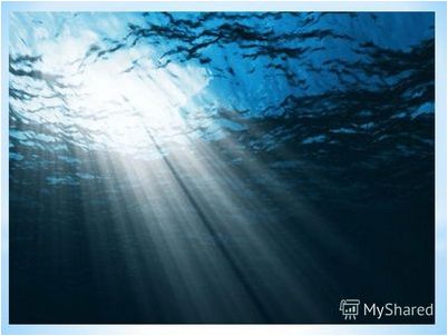 администрация Буша