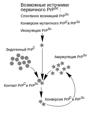 конечном счете