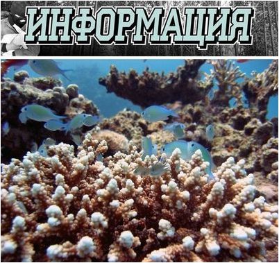 подкисление