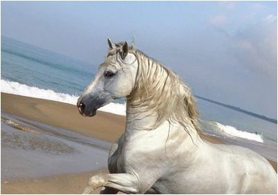 пожилых людей