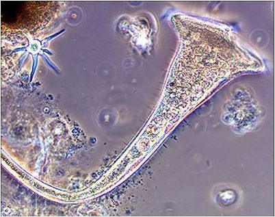 заблокировать