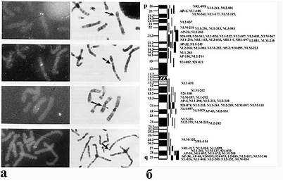нескольких генов