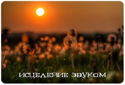 волосковые клетки