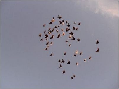 подобный механизм