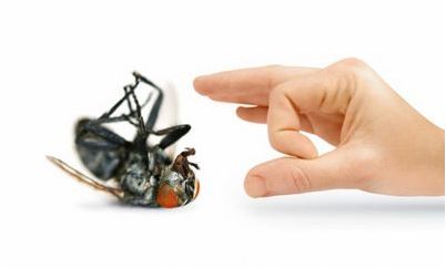 боковые нейроны