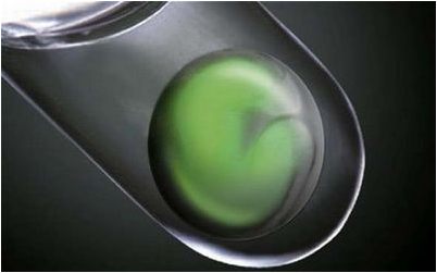 исходные клетки