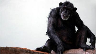 решения лицо