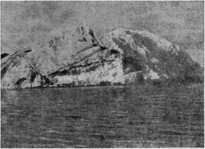 гигантский