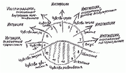 говорит Акерман