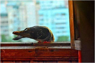 магнитного поля