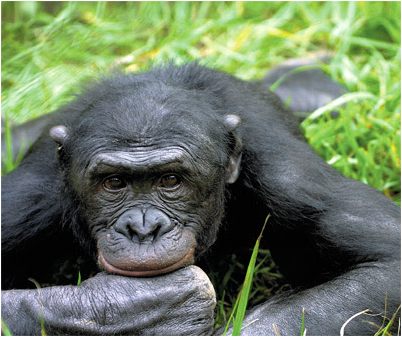 неоскорбительными матерями