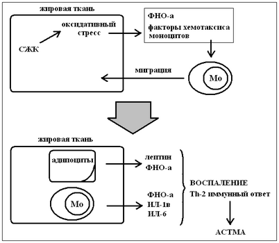 говорит Корри