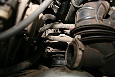 поют сложные