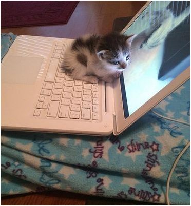 головного мозга