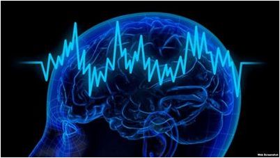 нейробиология