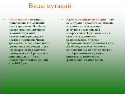 теплового шока