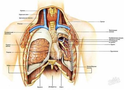 чувствительности боли