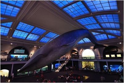 говорит Янагишава