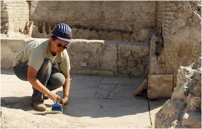 дендритных клеток