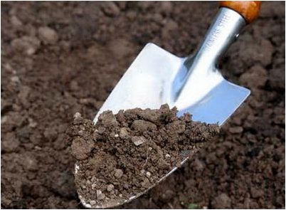 атмосферного углекислого