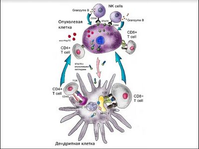 температура